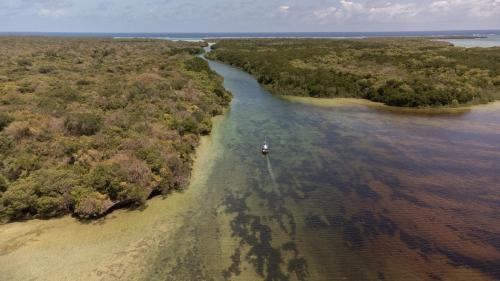 an island in the water with a boat in it at Chole Mjini Treehouses Lodge in Utende