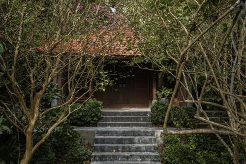 a set of stairs in front of a building with trees at TOKI Retreat Vân Long in Ninh Binh