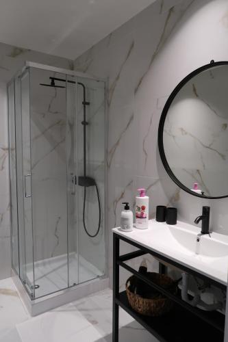 a bathroom with a shower and a sink and a mirror at Apartamentos sobre o Douro in Porto