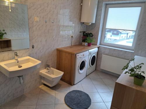 a bathroom with a washing machine and a sink at Bukor Apartments in Lukovica pri Domžalah