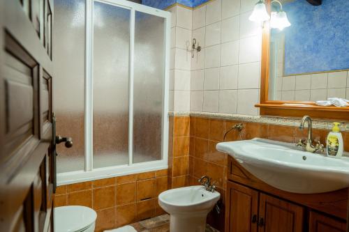 La salle de bains est pourvue d'un lavabo, de toilettes et d'une douche. dans l'établissement Mas Postius, à Muntanyola