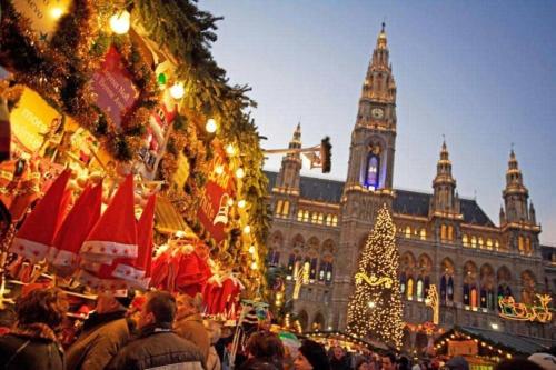 einen Weihnachtsmarkt vor einem Gebäude mit einem Weihnachtsbaum in der Unterkunft Cozy appartement in Wien