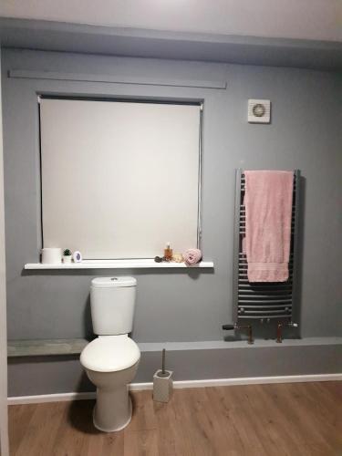 uma casa de banho com um WC branco e um espelho. em Welcome to Bombay House! em Hatfield
