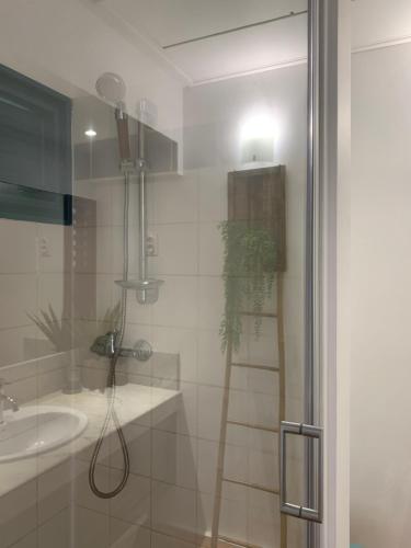 a bathroom with a shower and a sink at Sous les tropiques in La Trinité