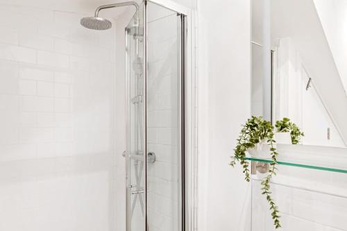 a shower with a glass door and a plant at The Market Street Studios in Nottingham