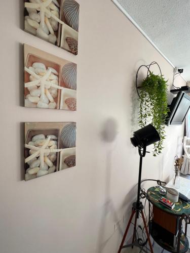 صورة لـ Playa y Descanso Chic في كوكيمبو