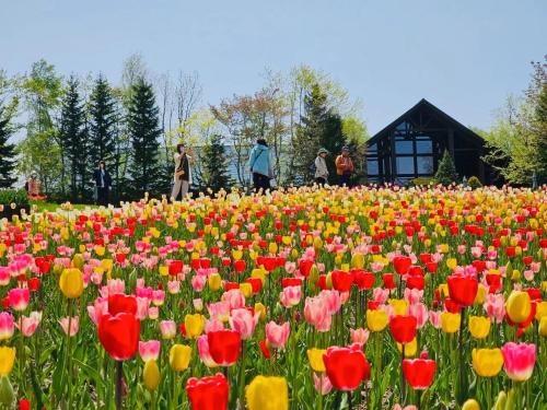 un campo de flores de colores en un parque en Warm House2 en Sapporo