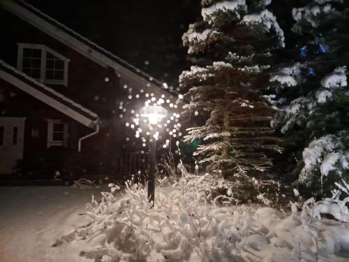 a street light in front of a snow covered tree at Tahko Hills in Tahkovuori