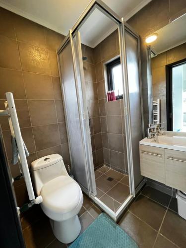 a bathroom with a toilet and a shower and a sink at Cabañas Julián Elias in Puerto Natales