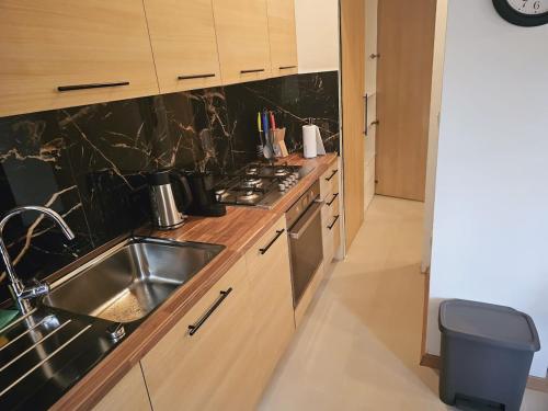 A kitchen or kitchenette at Alan's Downtown Apartment