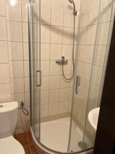 a bathroom with a shower and a toilet at Apartmán NOVOHRADKY 22 in Benešov nad Černou