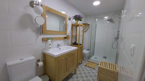 uma casa de banho com um lavatório, um WC e um chuveiro em Casa De Los Espejos em Córdoba