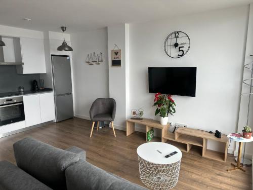 ein Wohnzimmer mit einem Sofa und einem TV in der Unterkunft Cies Sweet Home in Vigo
