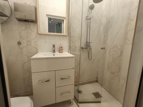 La salle de bains est pourvue d'une douche, d'un lavabo et de toilettes. dans l'établissement Apartament Naturo, à Sibiu