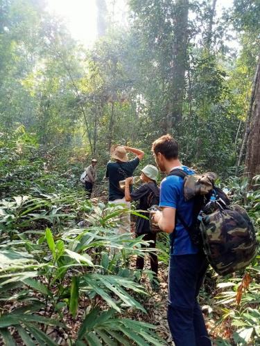 a group of people walking through the forest at Bee Bee's Chalets home stay and trekking in Banlung