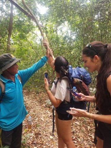 a group of people on a rope swing in the woods at Bee Bee's Chalets home stay and trekking in Banlung