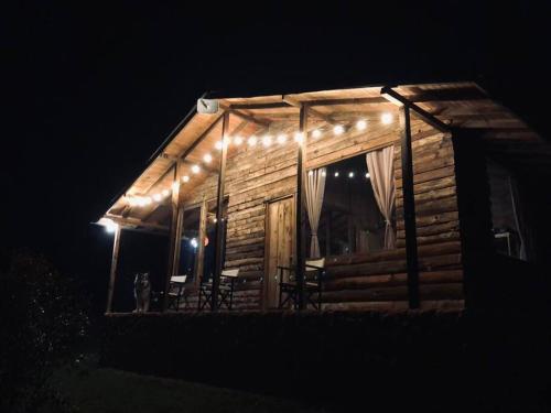 uma cabana de madeira com luzes acesas à noite em Refugio Aventura, hermosa cabaña y acogedores glampings en Tabio, cerca a Bogotá em Tabio
