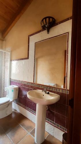 a bathroom with a sink and a mirror and a toilet at LAS CALLEJUELAS in Atienza