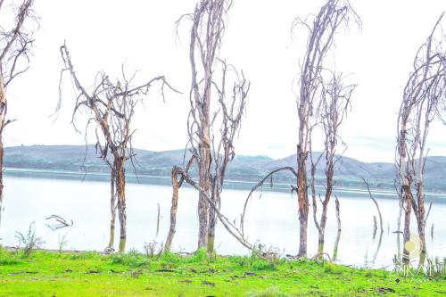 ENKAi COTTAGES – Photos 2