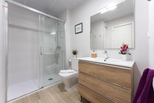 a bathroom with a shower and a toilet and a sink at MalagaSuite Comfortable Home 2 in Málaga