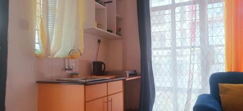 una pequeña cocina con fregadero y ventana en Monika's Bliss Apartment, en Nairobi