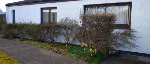 a white house with bushes and flowers in front of it at Aquila Retreats in Comrie