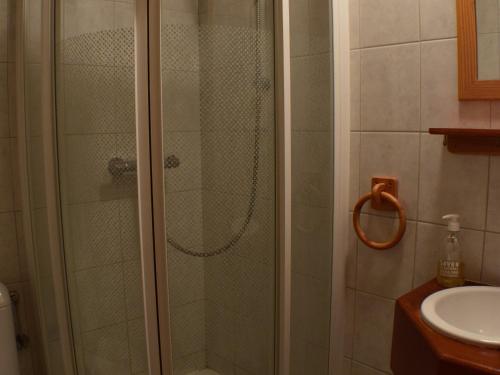 une douche avec une porte vitrée dans une salle de bain dans l'établissement Appartement cosy avec balcon sud, proche pistes ski, animaux admis, parking privé, draps inclus - FR-1-467-113, au Grand-Bornand