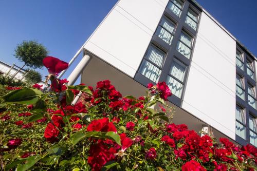 a building with red flowers in front of it at iQ-Hotel Ulm in Ulm