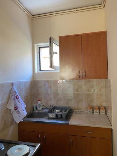 eine Küche mit einer Spüle und einer Arbeitsplatte in der Unterkunft REA APARTMENT in Kragujevac