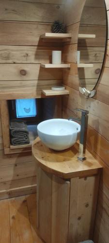 une salle de bain avec un lavabo et un miroir dans l'établissement Les cabanes de pellier, à Charcier