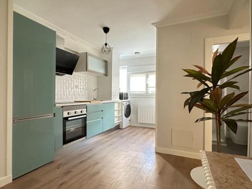 a kitchen with blue cabinets and a potted plant at Apartamentos 2K - Apartamento en playa de Brazomar reformado in Castro-Urdiales