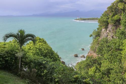 a palm tree on a hill next to a beach at La vue du phare - Appartement neuf avec vue imprenable et acces crique in Le Gosier