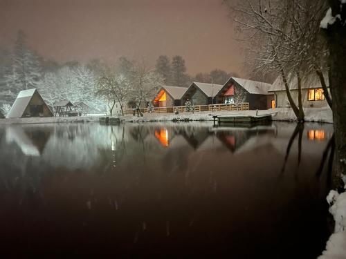 a winter scene of a house and a lake at Pastravaria Zavoi in Valea Danului