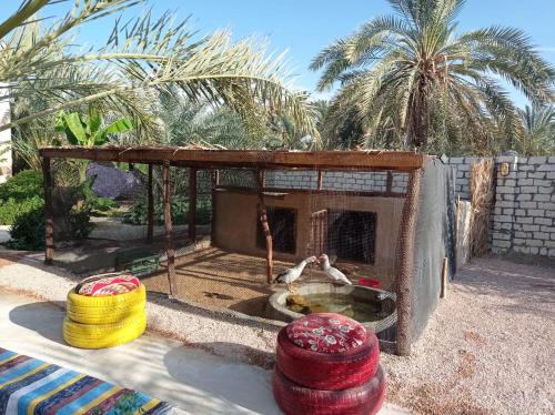 a fireplace in a yard with two colorful disks at Siwa Spot in Siwa