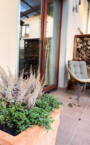 a front porch with a chair and purple flowers at Ferienwohnung Kamrath Altstadt in Neuruppin