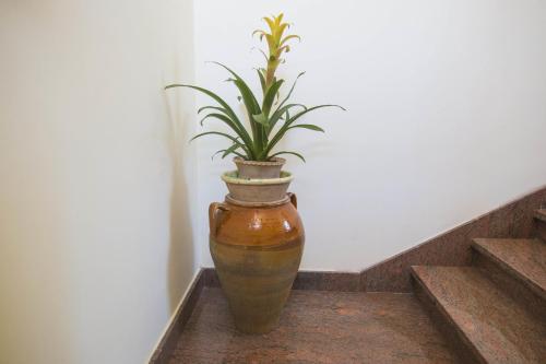 a plant in a vase sitting on the stairs at B&B Luxury in Lecce
