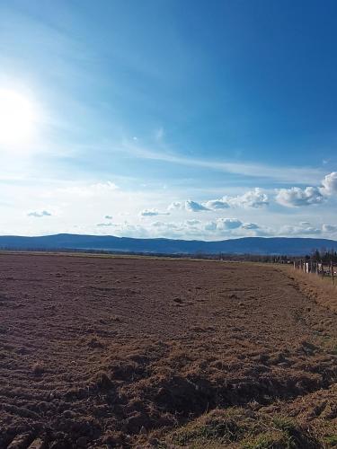 an empty field with the sun in the background at Apartament nad potokiem in Domaszków