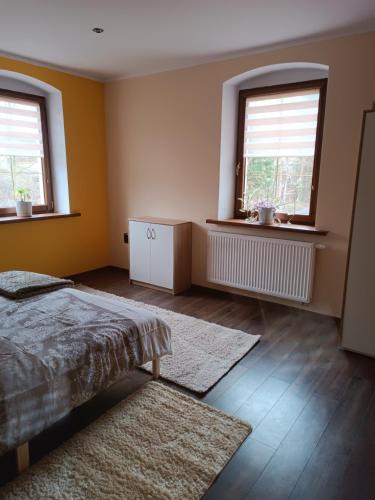 a bedroom with two windows and a bed and a rug at Apartament nad potokiem in Domaszków