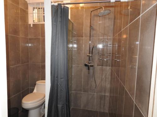 a bathroom with a shower with a toilet at Belview Apartments in Belmont