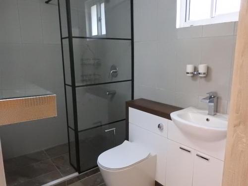 a bathroom with a shower and a toilet and a sink at Belview Apartments in Belmont