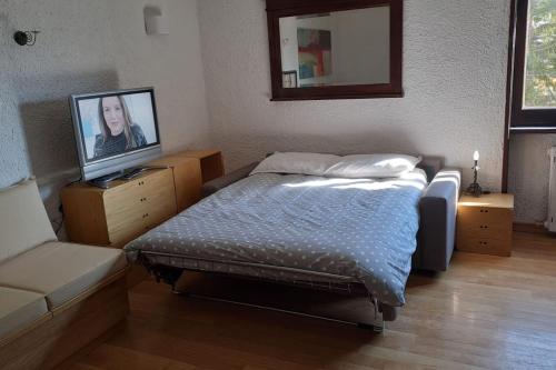 1 dormitorio con 1 cama y TV de pantalla plana en Come a casa, en Rivisondoli