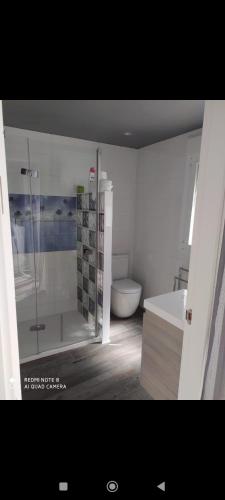 ein Bad mit einer Dusche und einem WC in der Unterkunft Casa Patri y Salva in Igualeja