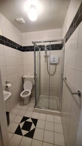 een badkamer met een douche, een toilet en een wastafel bij Apartment 1, Regent Street in Bagenalstown