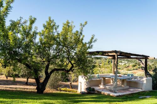a picnic table under a tree in a field at Sopra i Sassi - Villa & Trulli in Ostuni