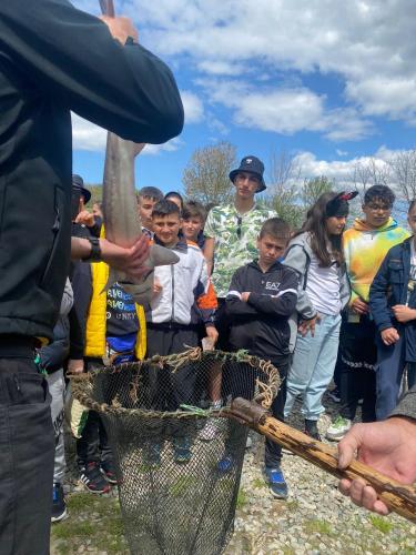 a group of children looking at a baseball bat in a net at Pastravaria Zavoi in Valea Danului