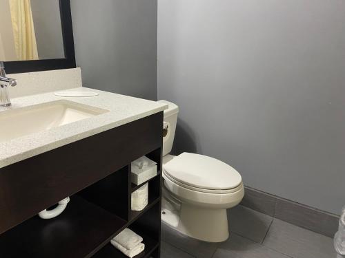 a bathroom with a white toilet and a sink at Baymont by Wyndham Bay City in Bay City