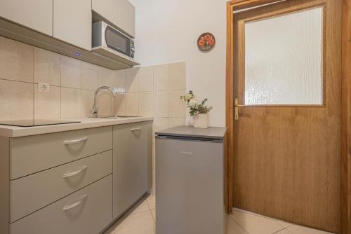 a kitchen with a refrigerator and a sink and a door at Federica in Zubovići