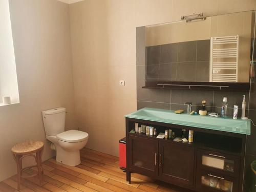 a bathroom with a toilet and a sink at La Maison Rose sur le Port in Saint-Louis-du-Rhône