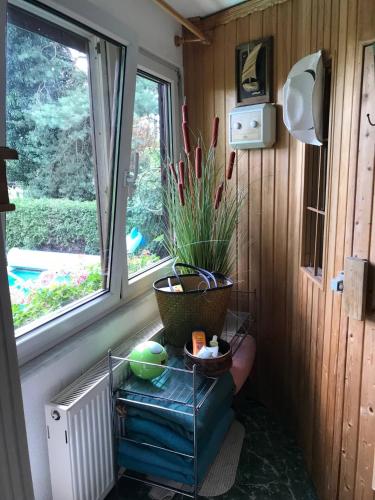a plant in a pot sitting on a window sill at Wohnen im Eulengarten in Oranienburg