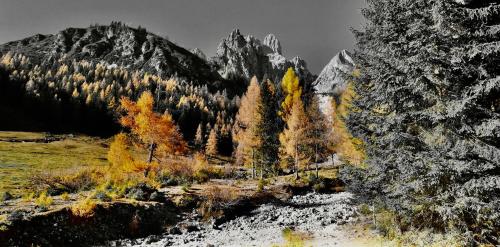 Fotografie z fotogalerie ubytování Chalet Kleinbergsonne ve Filzmoosu